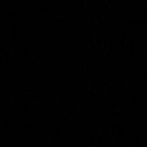 Meet your Posher, Lorena